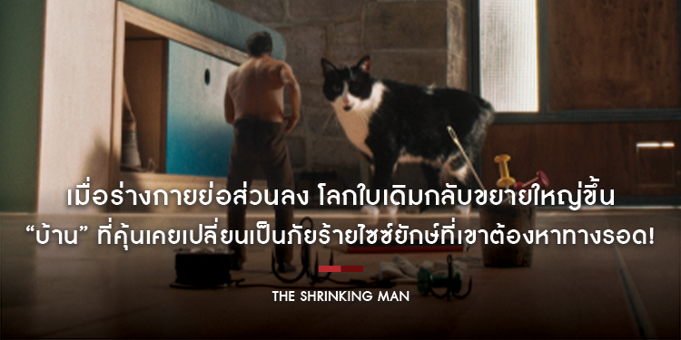 “The Shrinking Man อัศจรรย์มนุษย์ย่อส่วน” เมื่อร่างกายย่อส่วนลง โลกใบเดิมกลับขยายใหญ่ขึ้น “บ้าน” เปลี่ยนเป็นภัยร้ายไซซ์ยักษ์ที่เขาต้องหาทางรอด! 